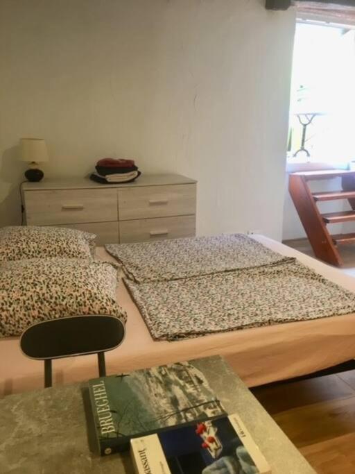Terrasse. A 50m De La Sablettes Appartement